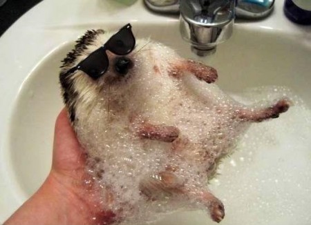 ✿ My Body is Ready ✿